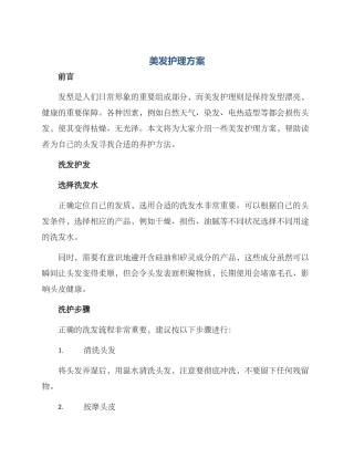 美发护理方案