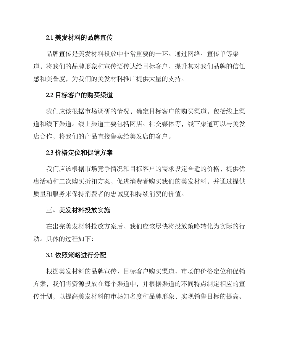 美发材料投放方案_第2页