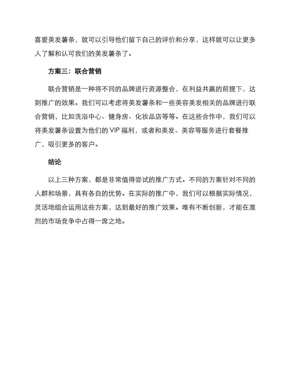 美发薯条推广方案_第2页