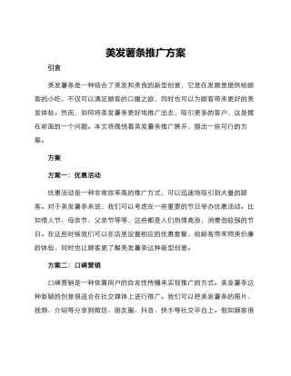 美发薯条推广方案
