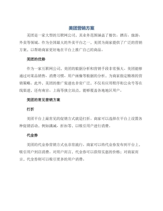 美团营销方案