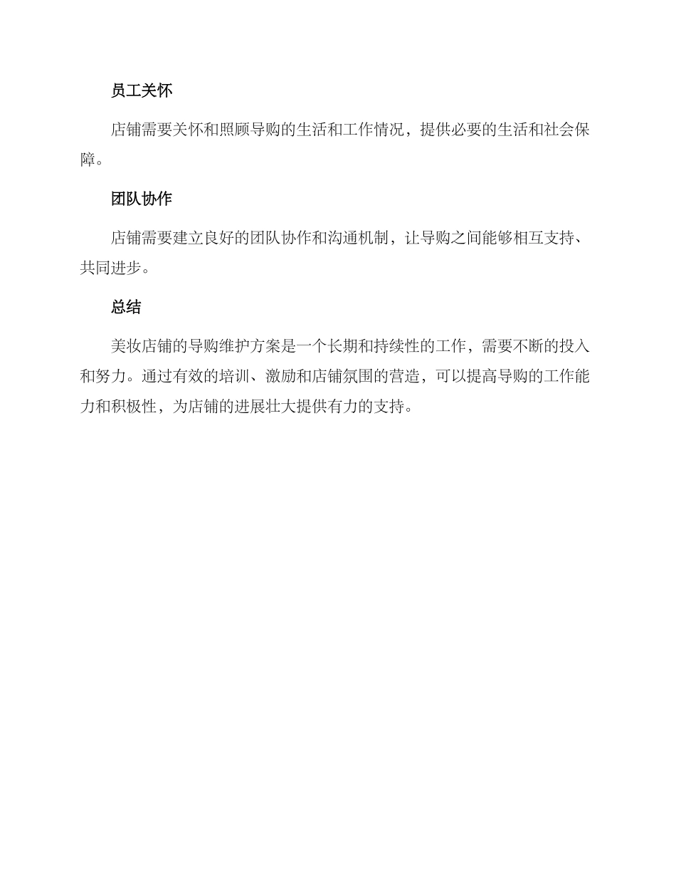 美妆导购维护方案_第3页