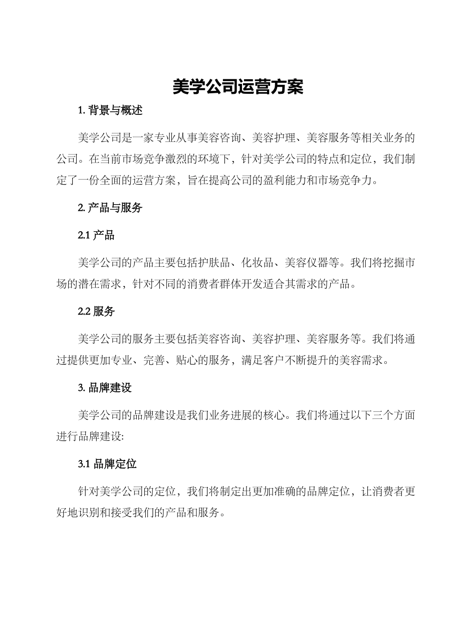 美学公司运营方案_第1页