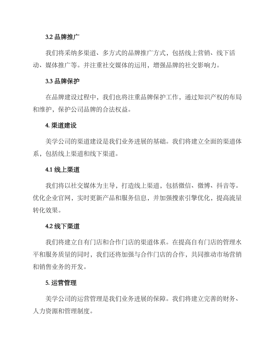 美学公司运营方案_第2页
