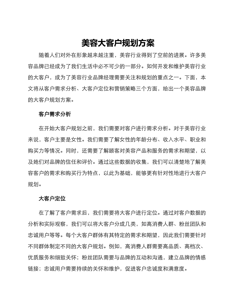 美容大客户规划方案_第1页