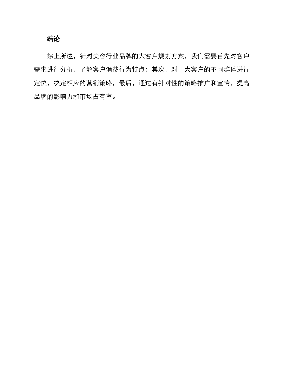 美容大客户规划方案_第3页