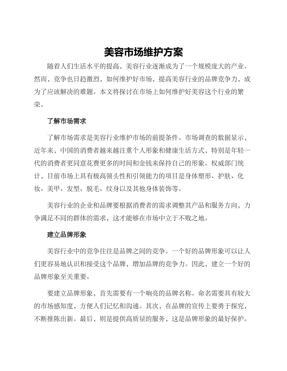 美容市场维护方案_第1页