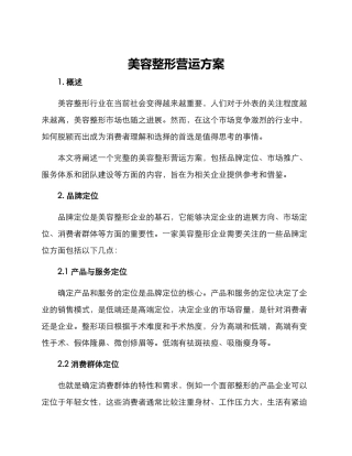 美容整形营运方案