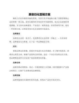 美容日化营销方案