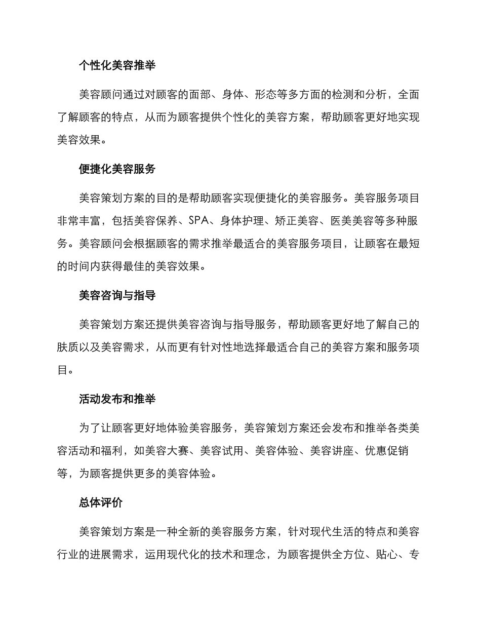 美容策划方案_第3页