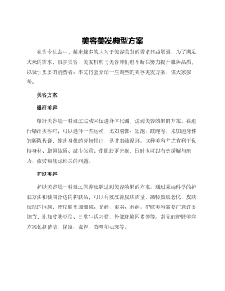 美容美发典型方案