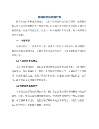 美容院整形营销方案