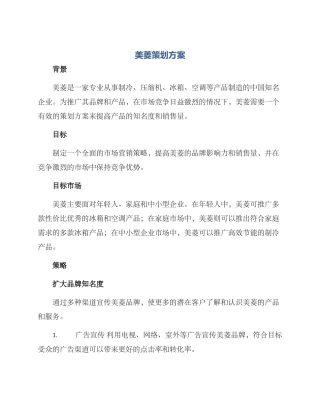 美菱策划方案