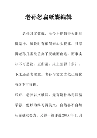 老孙怒扁纸媒编辑