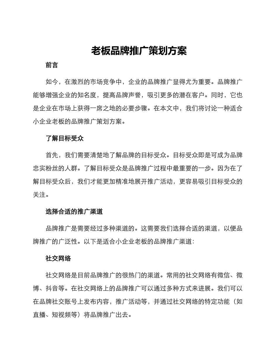 老板品牌推广策划方案_第1页