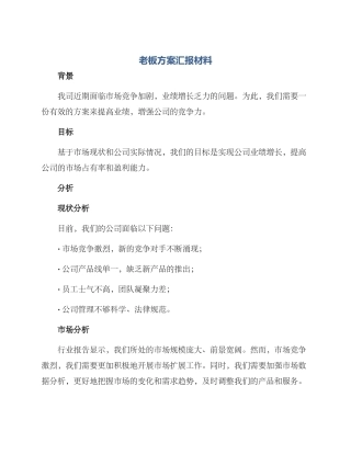 老板方案汇报材料