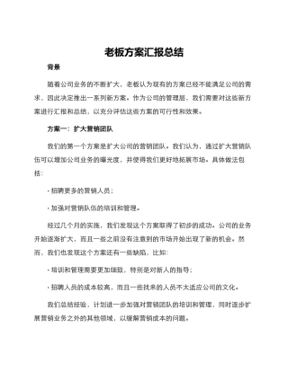 老板方案汇报总结