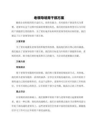 老领导培养干部方案