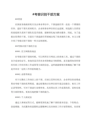 考察识别干部方案