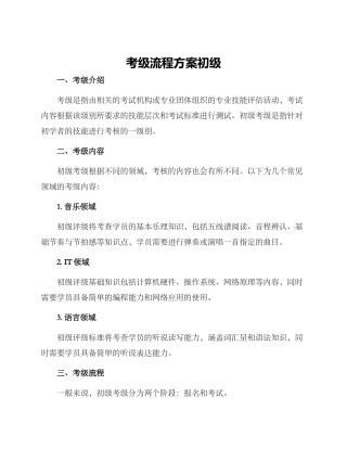 考级流程方案初级