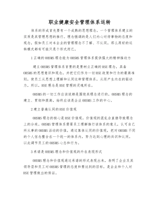 职业健康安全管理体系运行