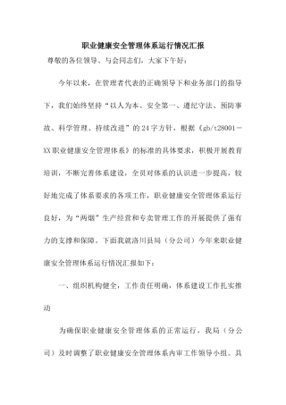 职业健康安全管理体系运行情况汇报