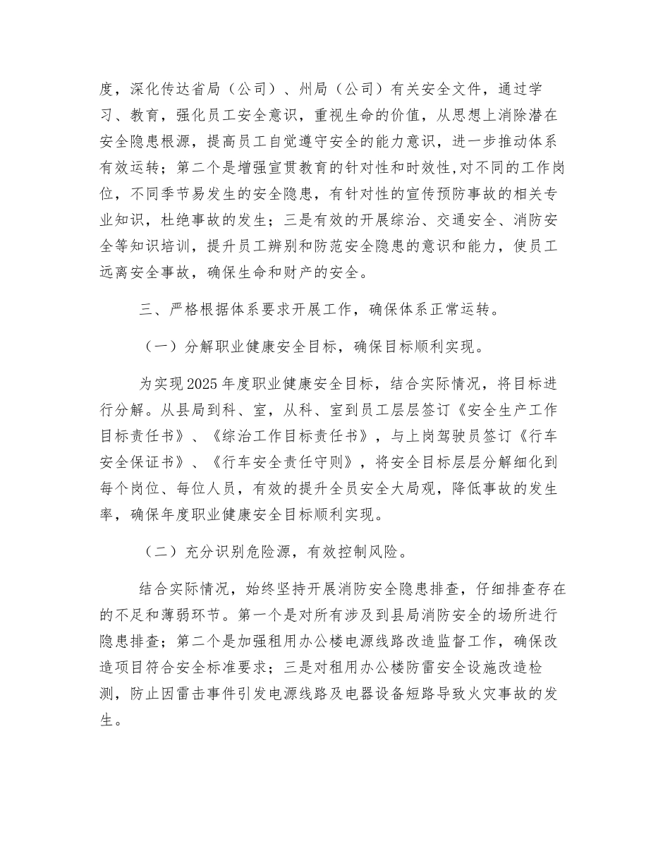 职业健康安全管理体系运行报告_第2页