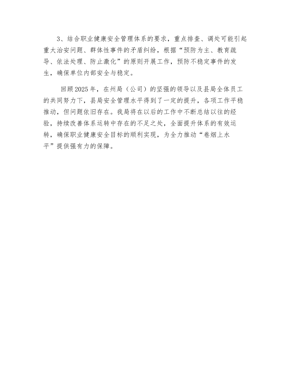 职业健康安全管理体系运行报告_第3页