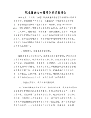 职业健康安全管理体系运行报告