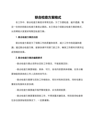 联合检查方案格式