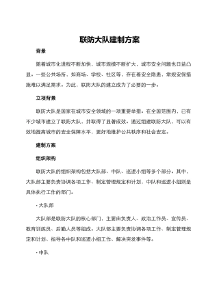 联防大队建制方案