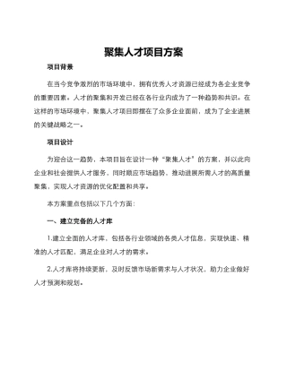 聚集人才项目方案