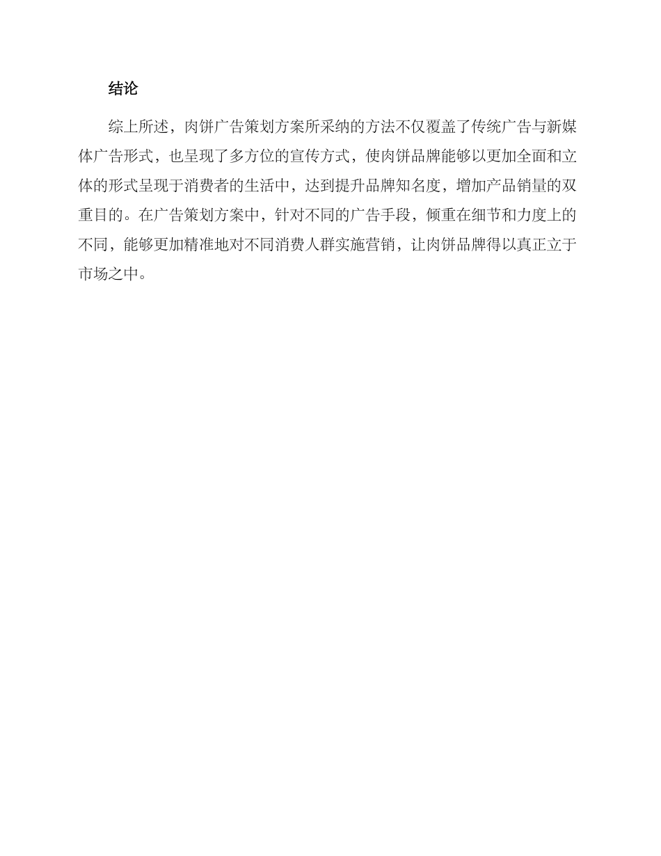 肉饼广告策划方案_第3页