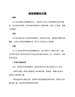 胖哥俩整改方案