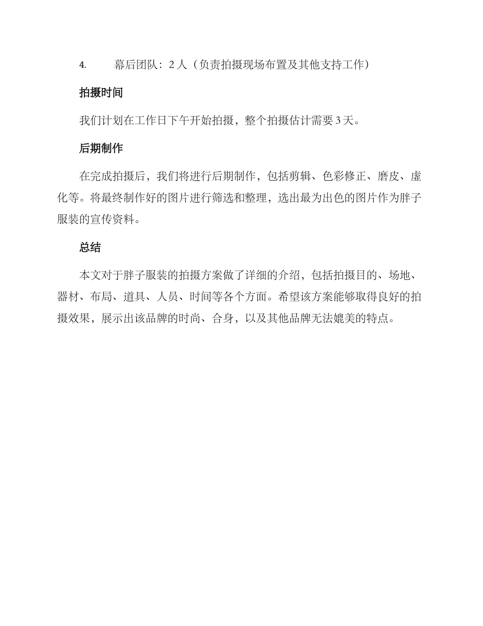 胖子服装拍摄方案_第3页