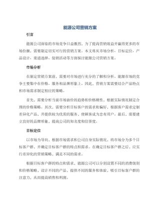 能源公司营销方案