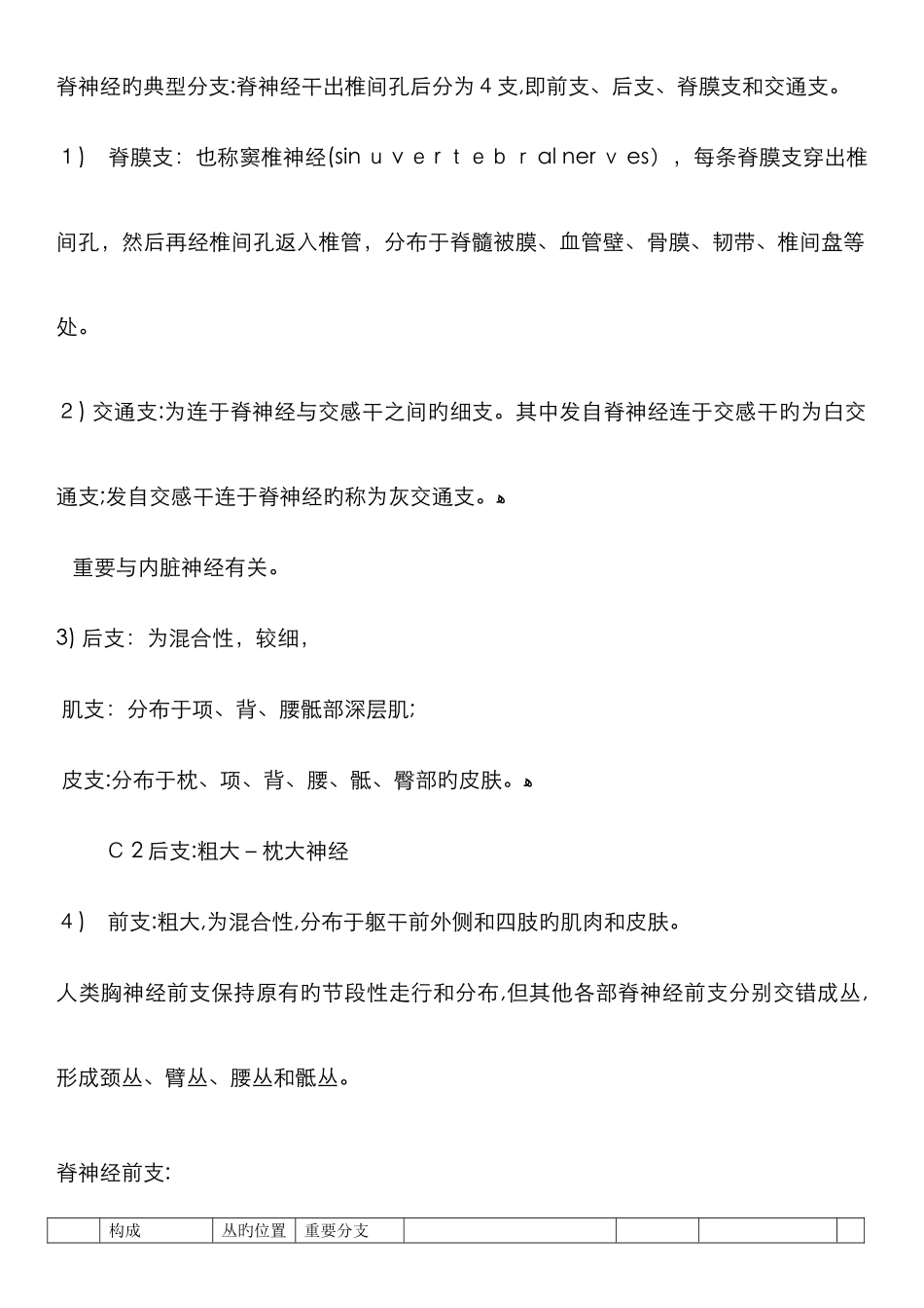 脊神经的典型分支_第1页