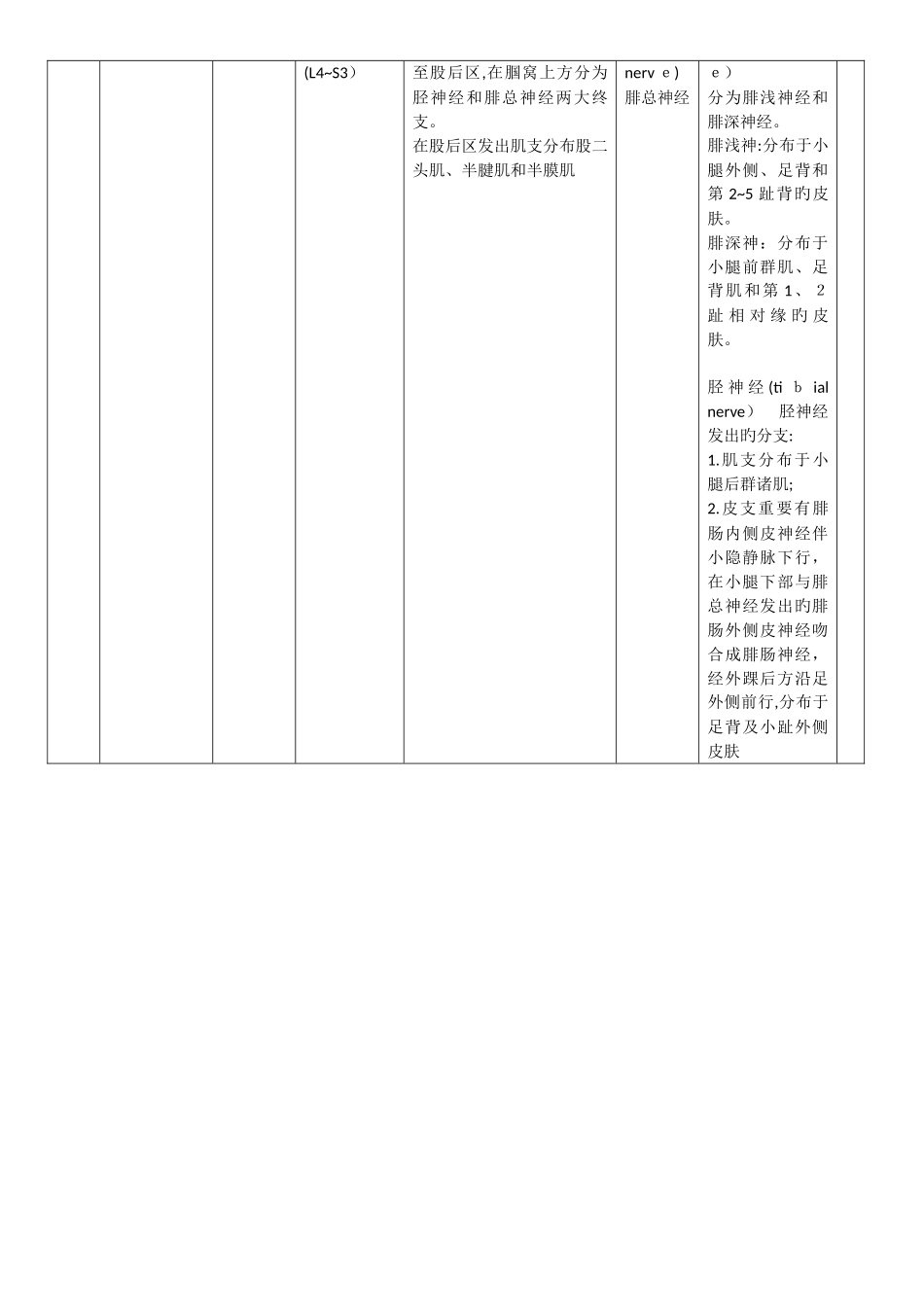脊神经的典型分支_第3页