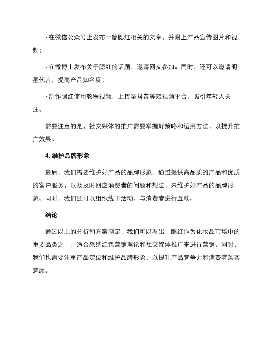 腮红营销方案_第3页