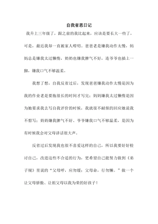 自我省思日记
