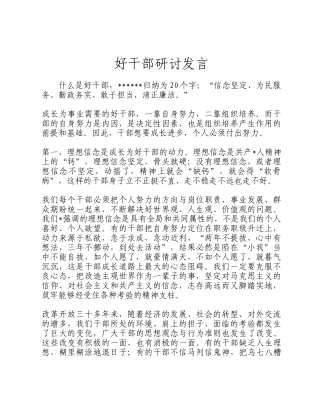 好干部研讨发言