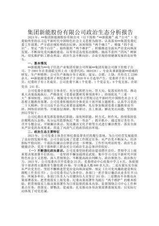 集团新能股份有限公司政治生态分析报告