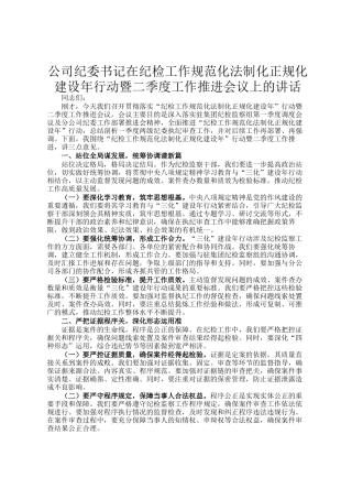 公司纪委书记在纪检工作规范化法制化正规化建设年行动暨二季度工作推进会议上的讲话