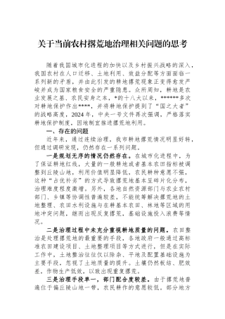 关于当前农村撂荒地治理相关问题的思考