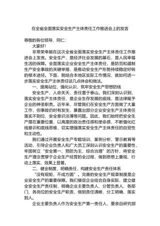 在全省全面落实安全生产主体责任工作推进会上的发言