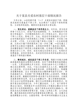 关于某县关爱农村基层干部情况报告