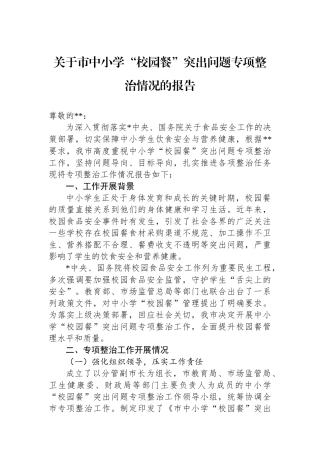 关于市中小学“校园餐”突出问题专项整治情况的报告
