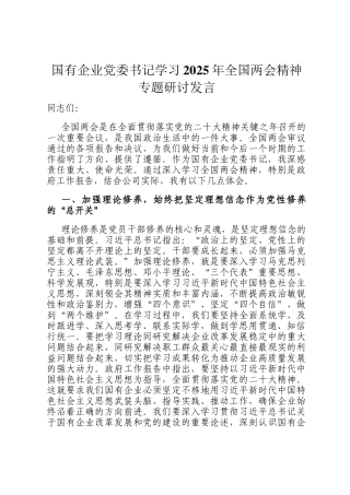 国有企业党委书记学习2025年全国两会精神专题研讨发言