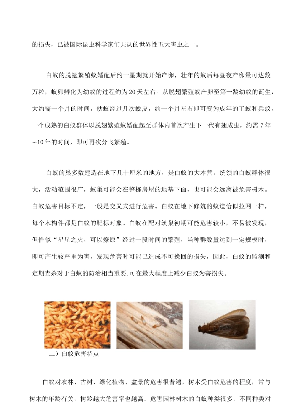 白蚁防治施工方案 _第3页