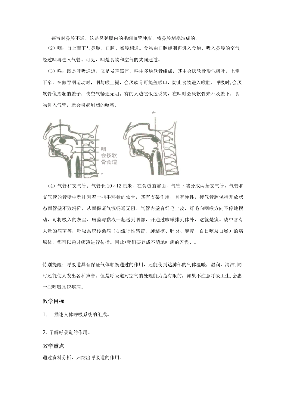 呼吸道对空气的处理_第3页